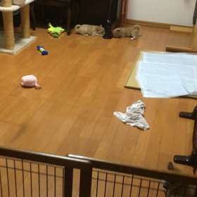 元気です^_^の画像