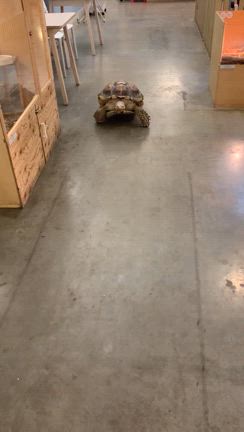 ふれあい動物広場と編み物の記事動画