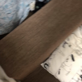 愛猫ミロちゃんの動画の画像