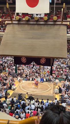 大相撲の記事動画