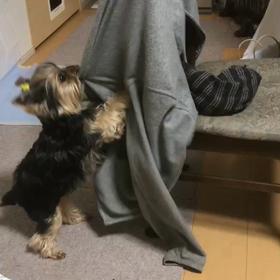 うれしすぎての画像