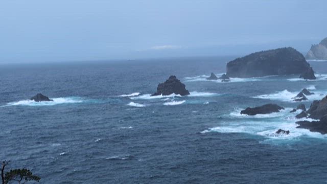 休みの記事動画