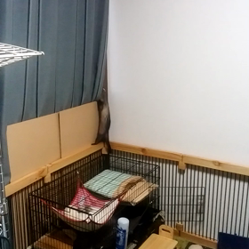 家政婦は見た！の画像