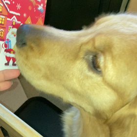 ムカつくおやじ( *｀ω´)の画像