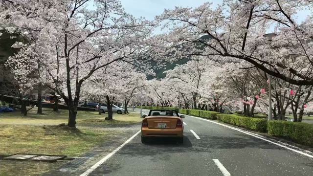 キャンプ　奈良　下北山スポーツ公園きなりの郷〜2の記事動画