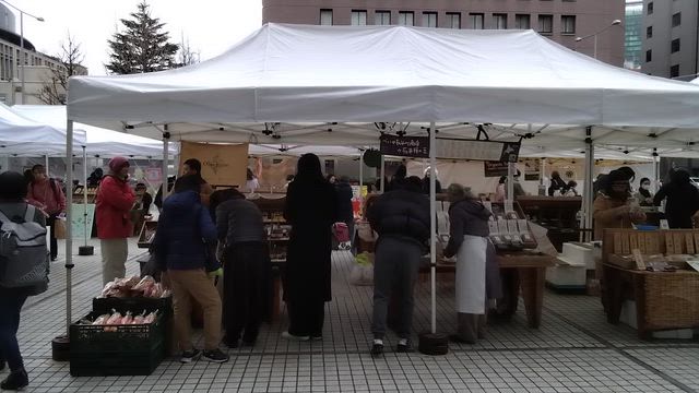 譲渡会、青山で開催中です。の記事動画
