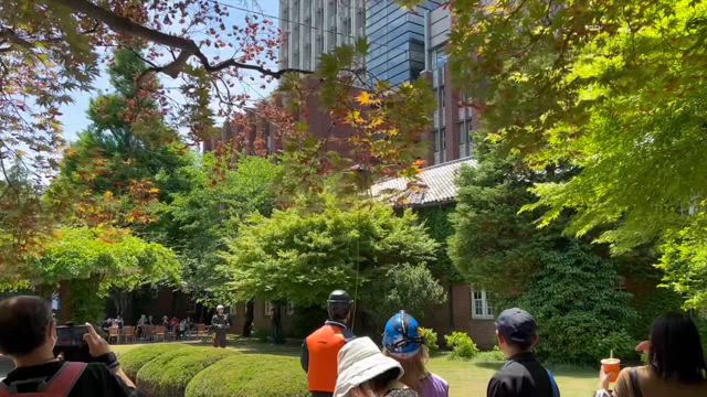 ALLとしま×立教WAKUWAKU防災フェス2025の記事動画