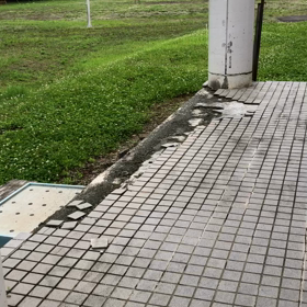 鬼滅なトイレの画像