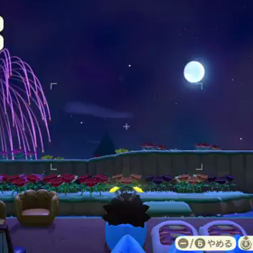 花火動画の画像