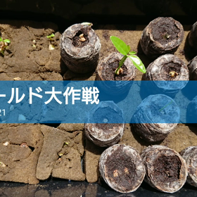 2021/05/23の画像