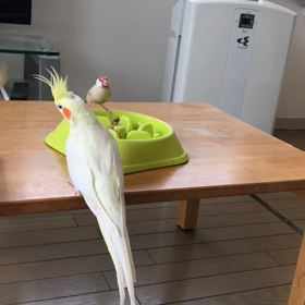 おやつタイムの画像