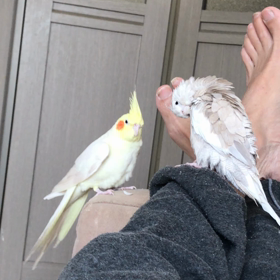 ハナちゃんとリリの画像