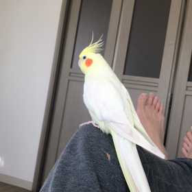 今日のハナちゃんの画像