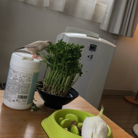 今日のきゅうとハナちゃんの画像