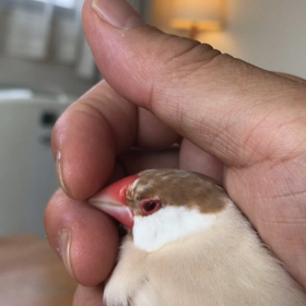 今日のきゅうとハナちゃんの画像