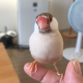 今日のきゅうの画像