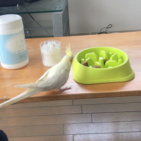 早食い防止の画像