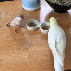 おやつの画像