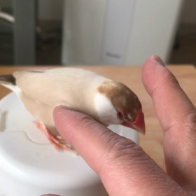 きゅうとの時間の画像
