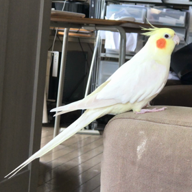 今日のきゅうとハナちゃんの画像