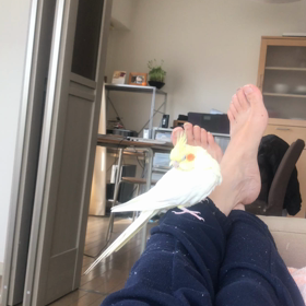 ハナちゃんの画像