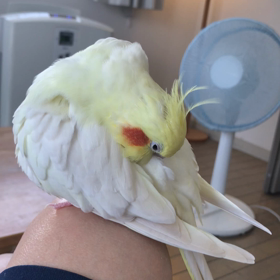 梅雨明けの画像