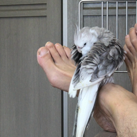 ハナちゃんとリリの画像