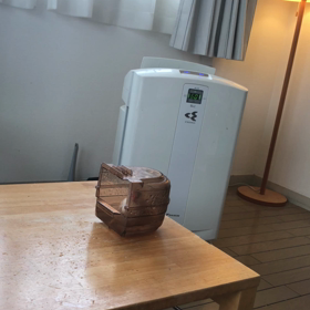 水浴びの画像