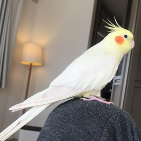 きゅうとハナちゃんの画像