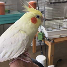 今日も曇りですね。の画像