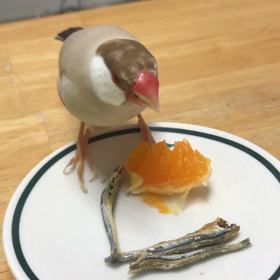 今日は寒いですねの画像