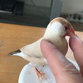 きゅうちゃんなでなでの画像