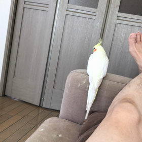 ハナちゃんのいななきの画像