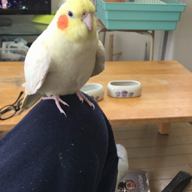 今日は寒いですねの画像