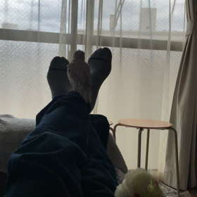 こんにちはの画像