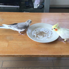2人仲良くの画像