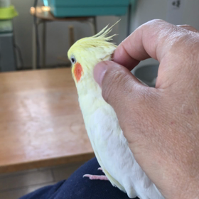 まったりの画像