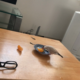 おやつの画像
