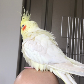 ハナちゃんとリリの画像