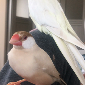まったりの画像