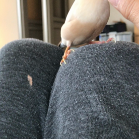 今日のきゅうとハナちゃんの画像