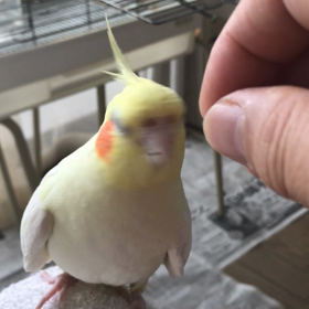 きゅうとハナちゃんの画像