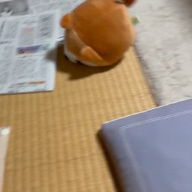 暴れん坊の画像