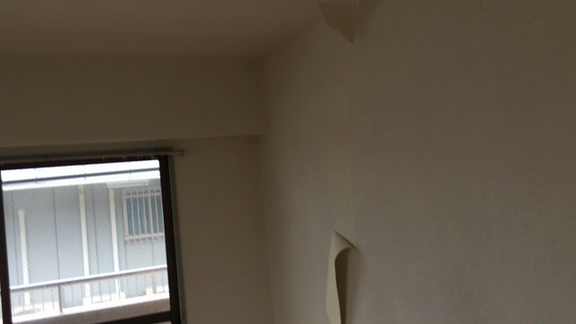 貼り替え完了の記事動画