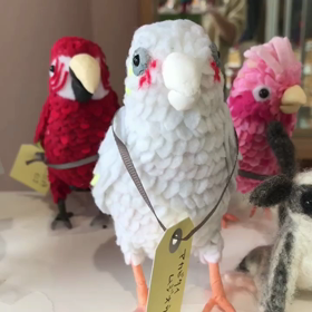 鳥楽園の画像