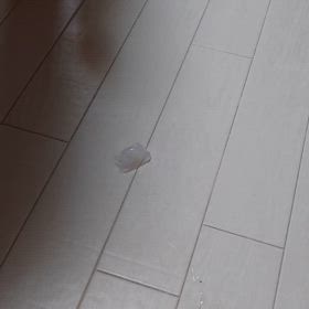 意外と普通やんの画像