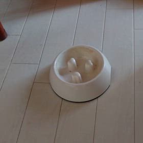 一言日記　〜きびちゃん大暴れ〜の画像