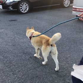 【緊急】の詳細（2）のサムネイル画像