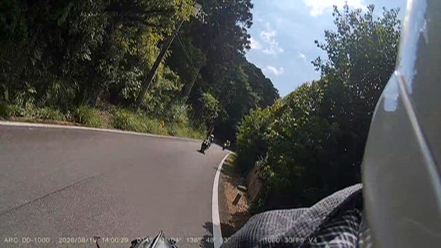 映像をじっくり見てみた！【ドラレコ】の記事動画