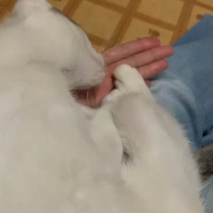 敬老の日にの記事動画